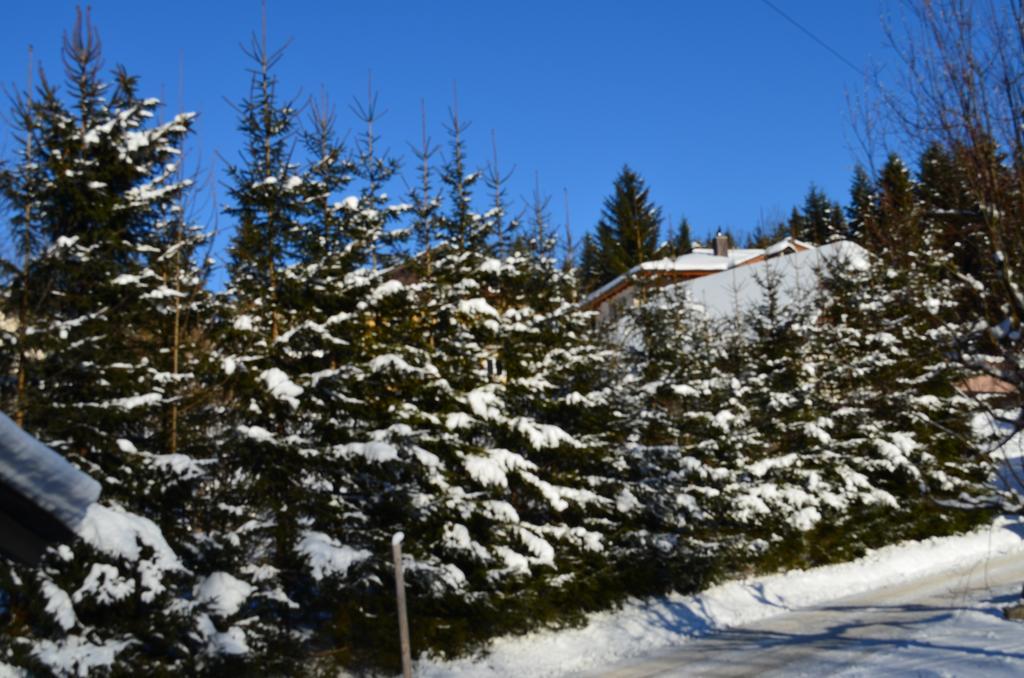 Alpengasthof Dollerhof Hotel Абтенау Екстериор снимка